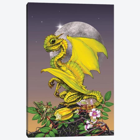 Star Fruit Dragon Canvas Print #SYR119} by Stanley Morrison Art Print
