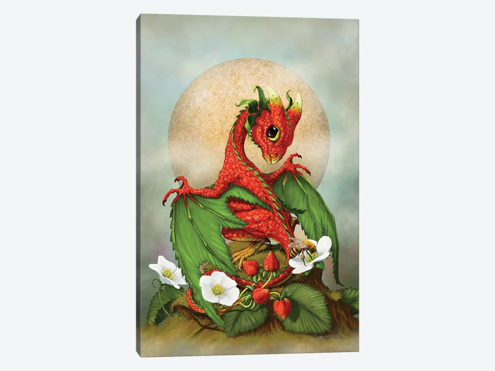 Strawberry Dragon by Stanley Morrison 1-piece Canvas Art