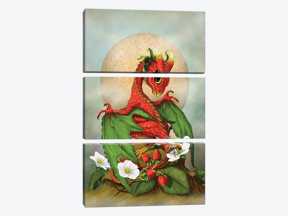 Strawberry Dragon by Stanley Morrison 3-piece Canvas Artwork