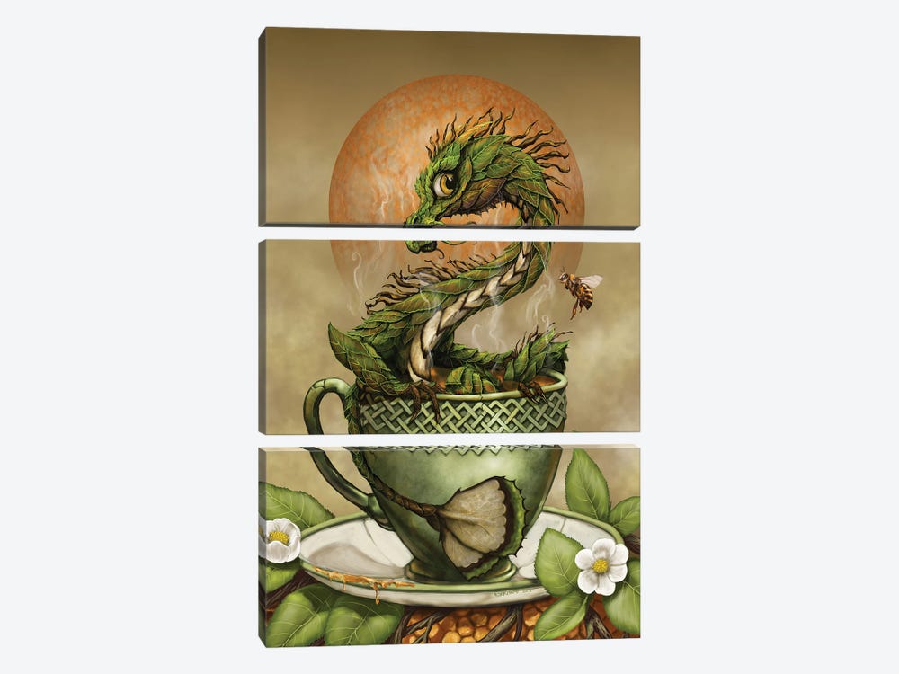 Tea Dragon by Stanley Morrison 3-piece Canvas Artwork