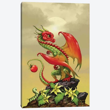Tomato Dragon Canvas Print #SYR129} by Stanley Morrison Canvas Wall Art