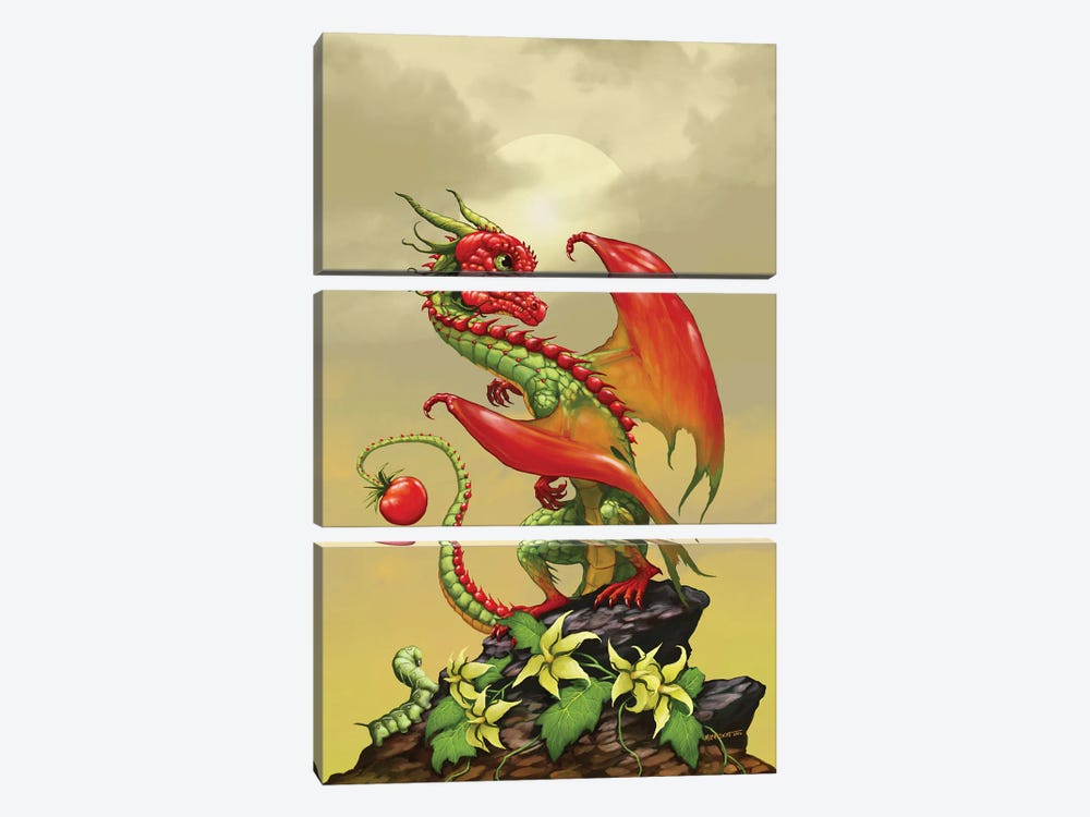 Tomato Dragon by Stanley Morrison 3-piece Canvas Print