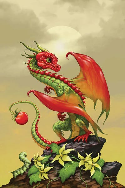 Stanley Morrison: Tomato Dragon by Stanley Morrison