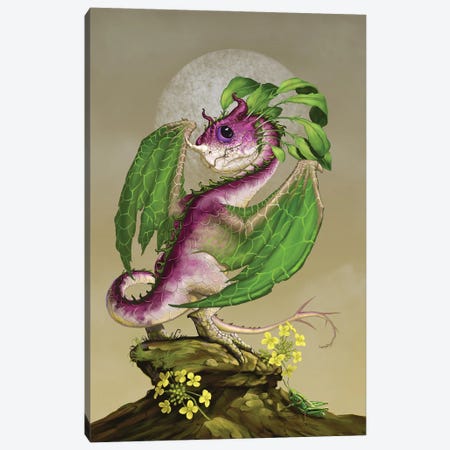 Turnip Dragon Canvas Print #SYR131} by Stanley Morrison Art Print