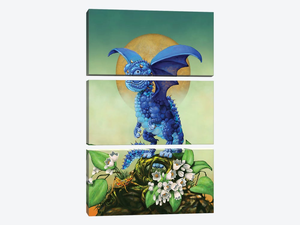 Blueberry Dragon by Stanley Morrison 3-piece Art Print