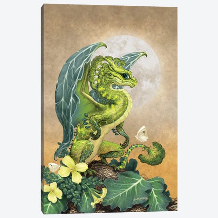 Broccoli Dragon Canvas Print #SYR15} by Stanley Morrison Canvas Wall Art