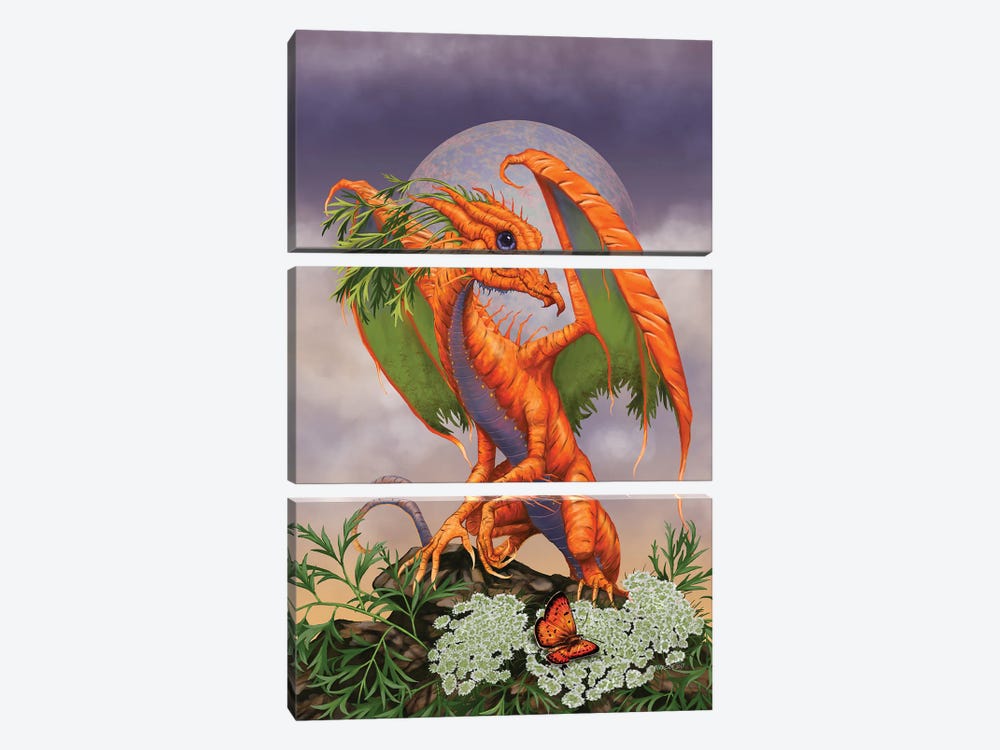 Carrot Dragon by Stanley Morrison 3-piece Canvas Art