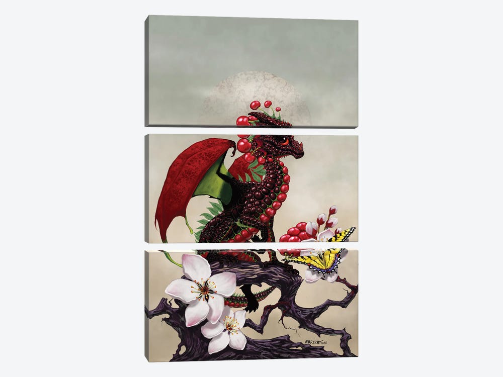 Cherry Dragon by Stanley Morrison 3-piece Canvas Wall Art