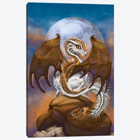 Coconut Dragon Canvas Print #SYR29} by Stanley Morrison Canvas Wall Art
