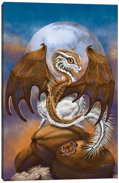 Coconut Dragon Canvas Art Print - Stanley Morrison
