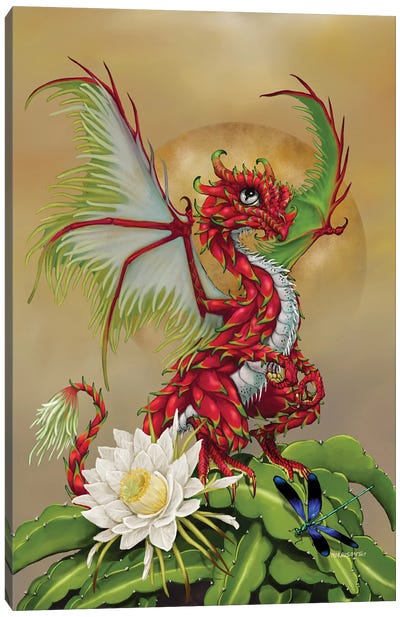 Dragon Fruit Canvas Art Print - Stanley Morrison