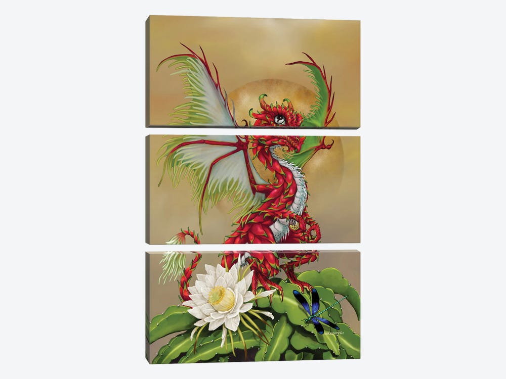 Dragon Fruit by Stanley Morrison 3-piece Canvas Wall Art