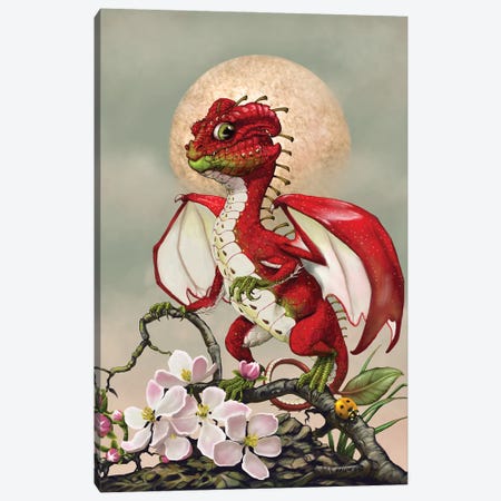 Apple Dragon Canvas Print #SYR3} by Stanley Morrison Canvas Wall Art