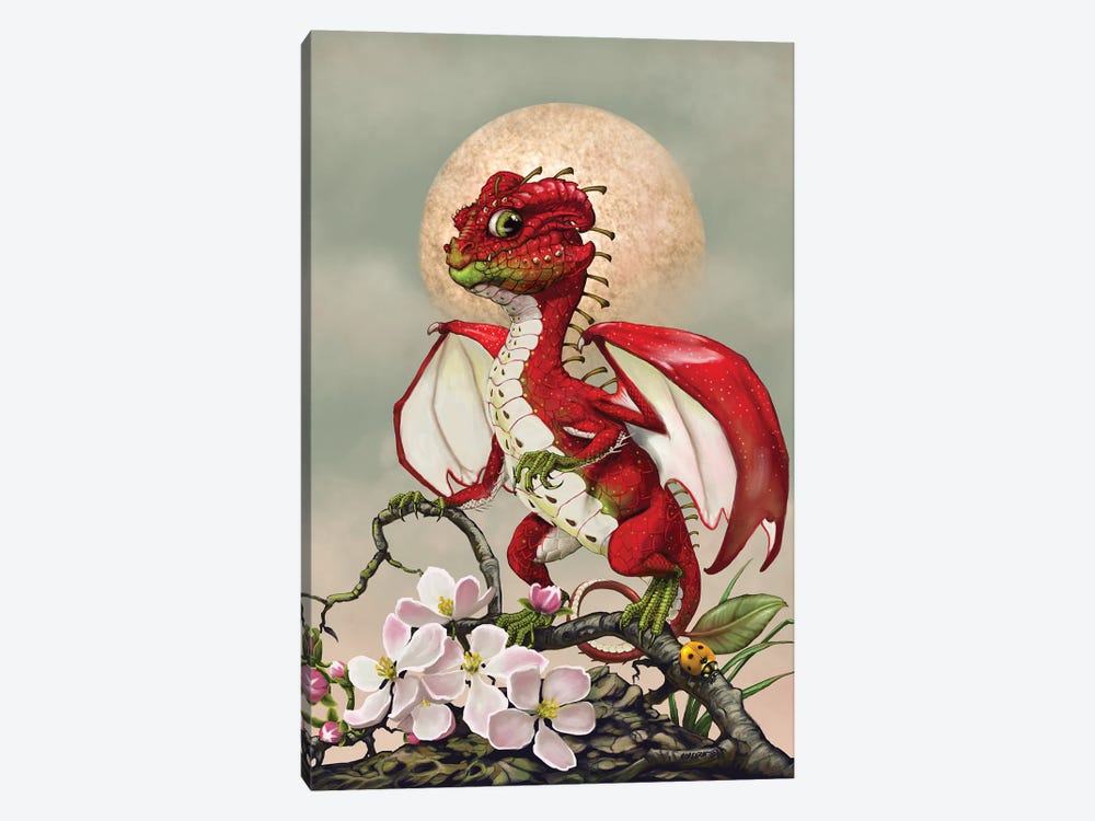 Apple Dragon by Stanley Morrison 1-piece Canvas Art Print