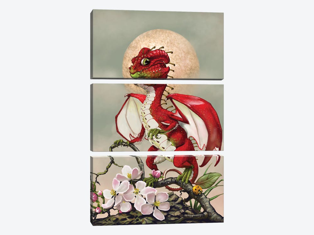 Apple Dragon by Stanley Morrison 3-piece Art Print
