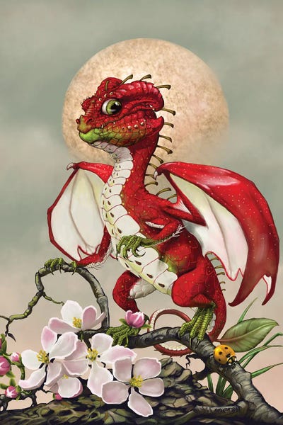 Dragons: Apple Dragon by Stanley Morrison