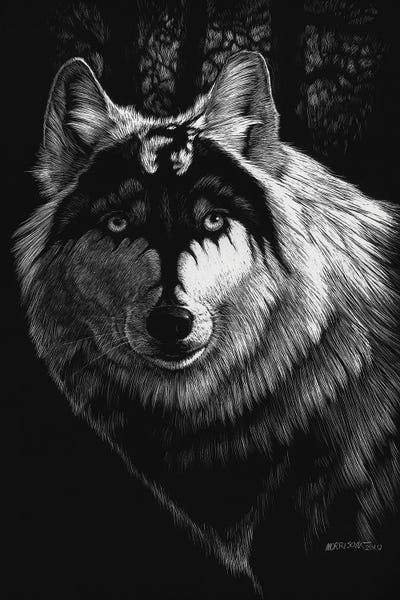 Goth Art: Dragon Wolf by Stanley Morrison