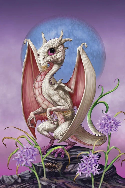 Garlic Dragon by Stanley Morrison wall art