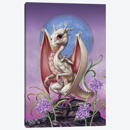 Garlic Dragon Canvas Print #SYR47} by Stanley Morrison Art Print