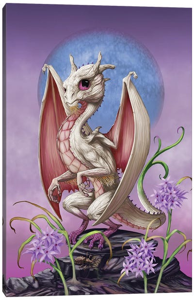 Garlic Dragon Canvas Art Print - Stanley Morrison