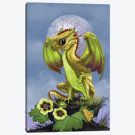 Gooseberry Dragon Canvas Print #SYR50} by Stanley Morrison Canvas Print