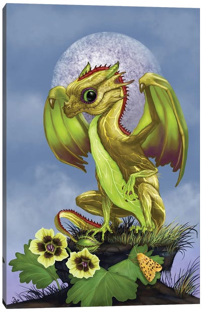 Gooseberry Dragon Canvas Art Print - Berry Art