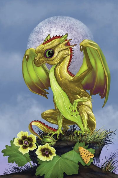 Dragons: Gooseberry Dragon by Stanley Morrison
