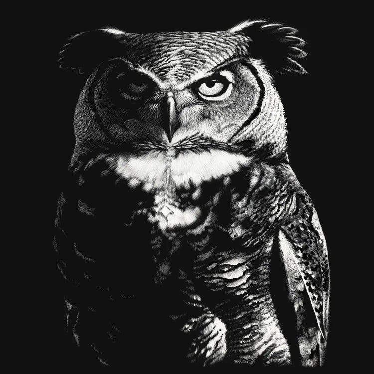 Great Hogned Dragon Owl by Stanley Morrison wall art