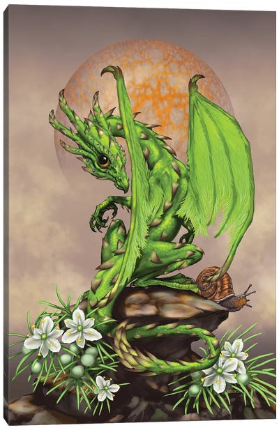 Asparagus Dragon Canvas Art Print - Vegetable Art
