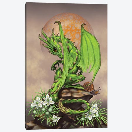 Asparagus Dragon Canvas Print #SYR5} by Stanley Morrison Canvas Print