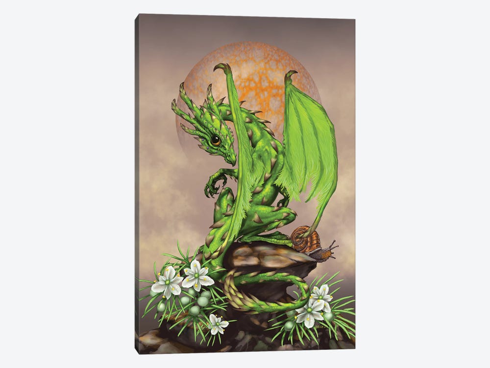 Asparagus Dragon by Stanley Morrison 1-piece Canvas Print