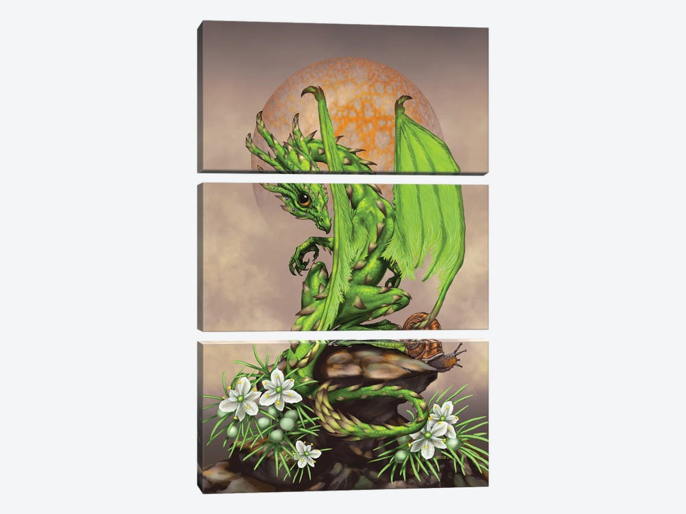 Asparagus Dragon by Stanley Morrison 3-piece Art Print