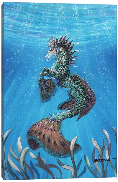 Hippocampus Canvas Art Print - Stanley Morrison