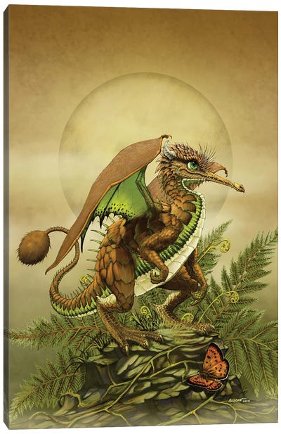 Kiwi Dragon Canvas Art Print - Stanley Morrison