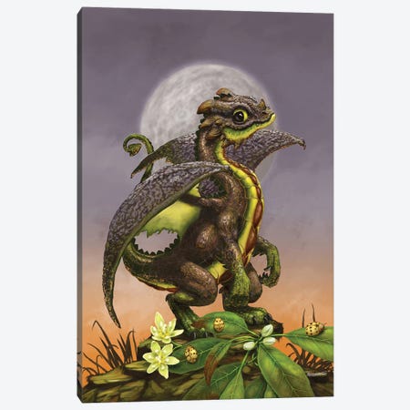 Avocado Dragon Canvas Print #SYR6} by Stanley Morrison Art Print