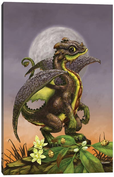 Avocado Dragon Canvas Art Print - Stanley Morrison