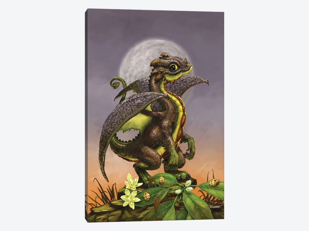 Avocado Dragon by Stanley Morrison 1-piece Canvas Art