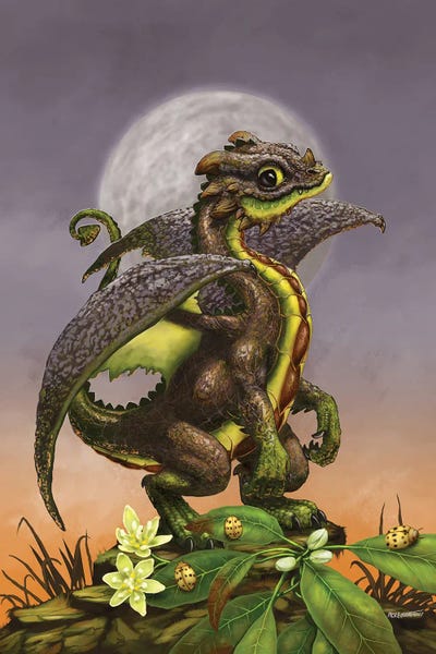 Dragons: Avocado Dragon by Stanley Morrison