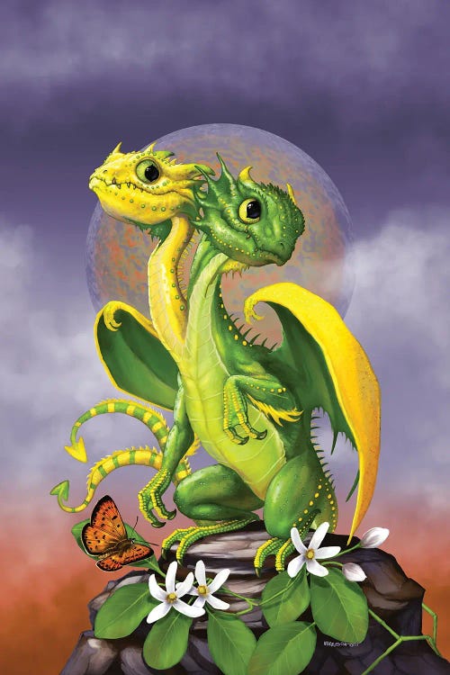 Lemon Lime Dragon by Stanley Morrison wall art