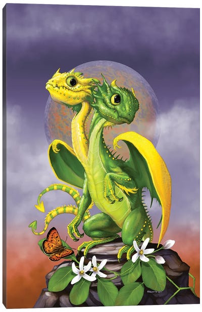 Lemon Lime Dragon Canvas Art Print - Stanley Morrison