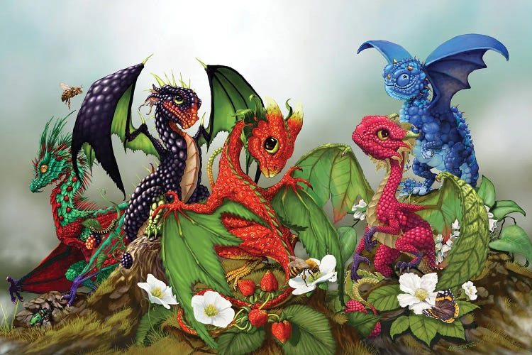 Mixed Berries Dragons