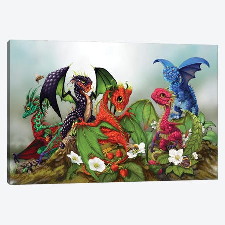 Mixed Berries Dragons Canvas Print #SYR78} by Stanley Morrison Canvas Print