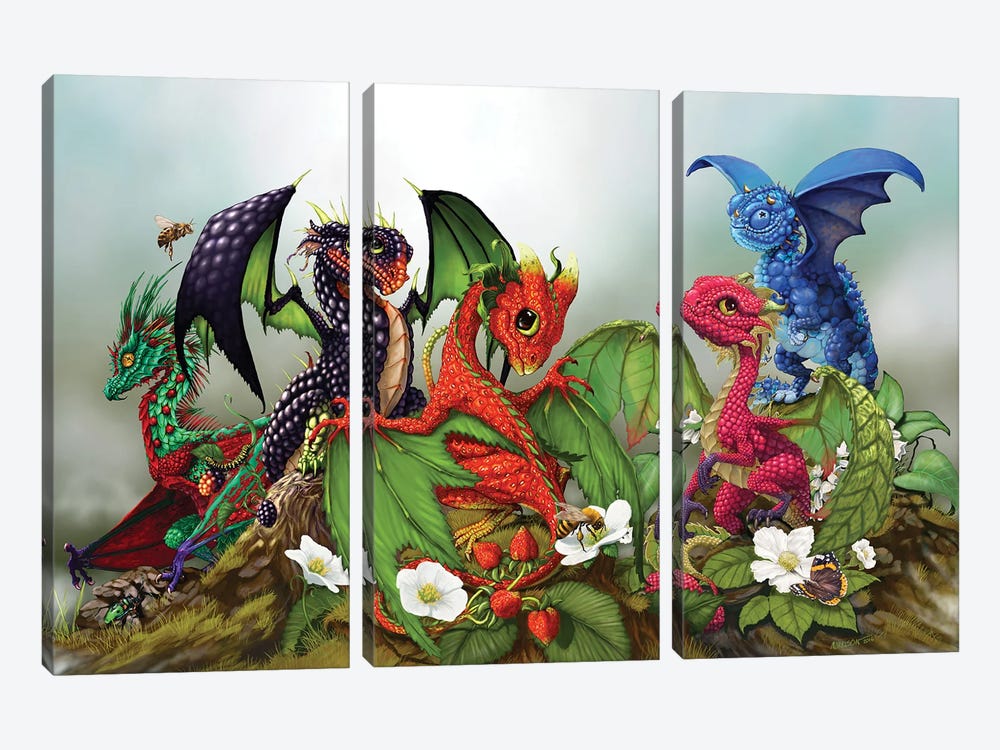 Mixed Berries Dragons by Stanley Morrison 3-piece Canvas Wall Art