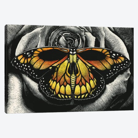 Monarch Of Death Canvas Print #SYR80} by Stanley Morrison Canvas Artwork