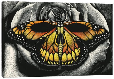 Monarch Of Death Canvas Art Print - Monarch Metamorphosis