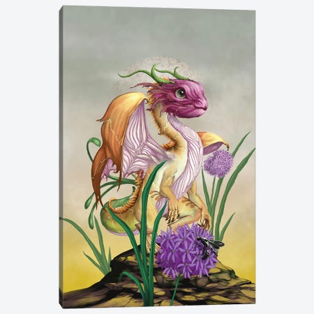 Onion Dragon Canvas Print #SYR85} by Stanley Morrison Canvas Art Print