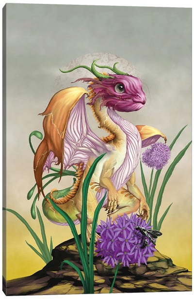 Onion Dragon Canvas Art Print - Friendly Mythical Creatures