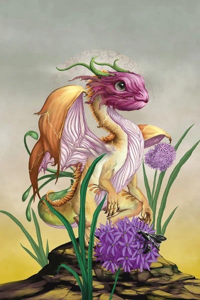 Dragons: Onion Dragon by Stanley Morrison