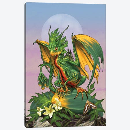 Papaya Dragon Canvas Print #SYR88} by Stanley Morrison Canvas Art