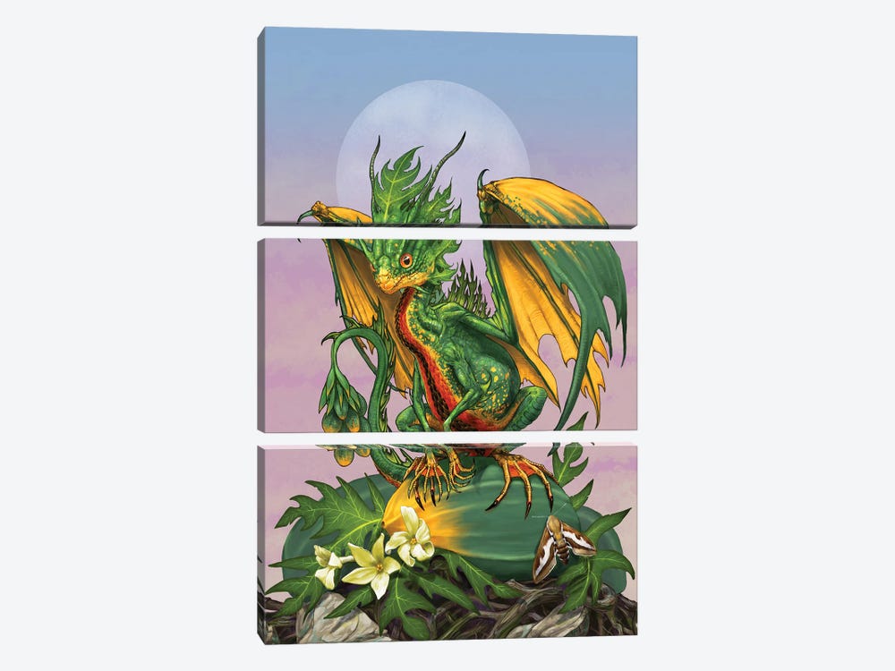 Papaya Dragon by Stanley Morrison 3-piece Canvas Art Print